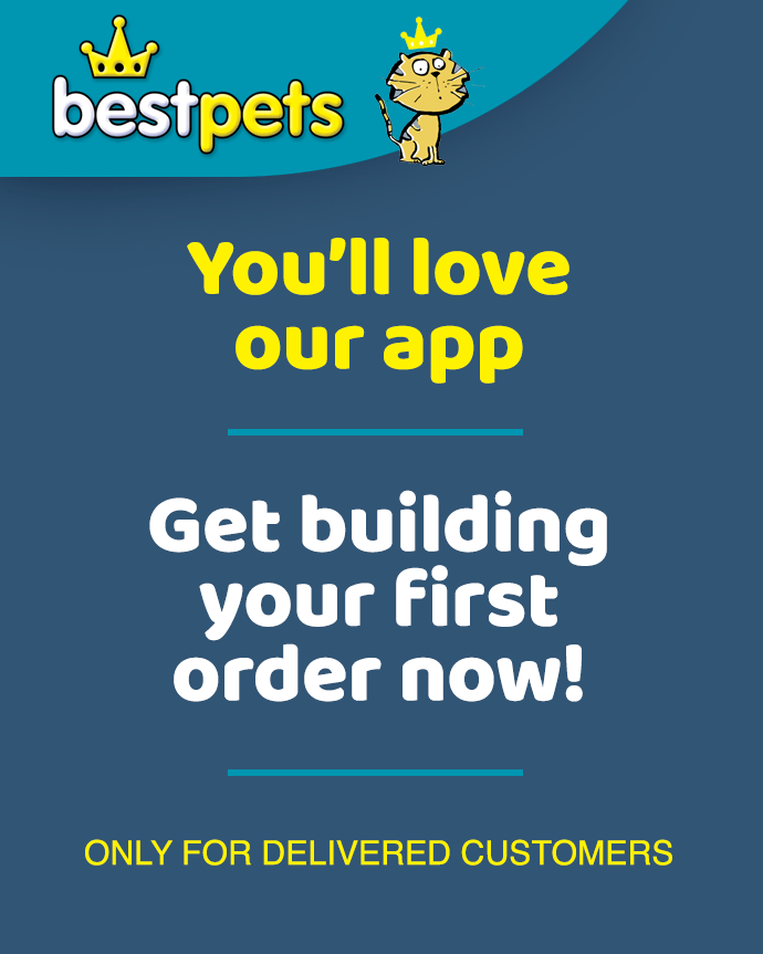 You'll love our new app