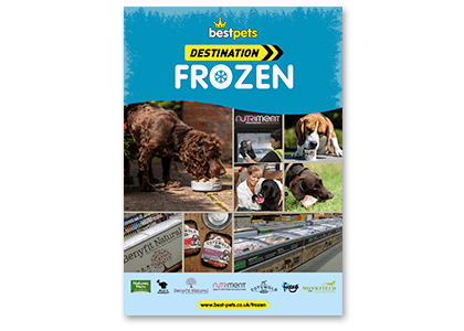 Destination Frozen Brochure 2020