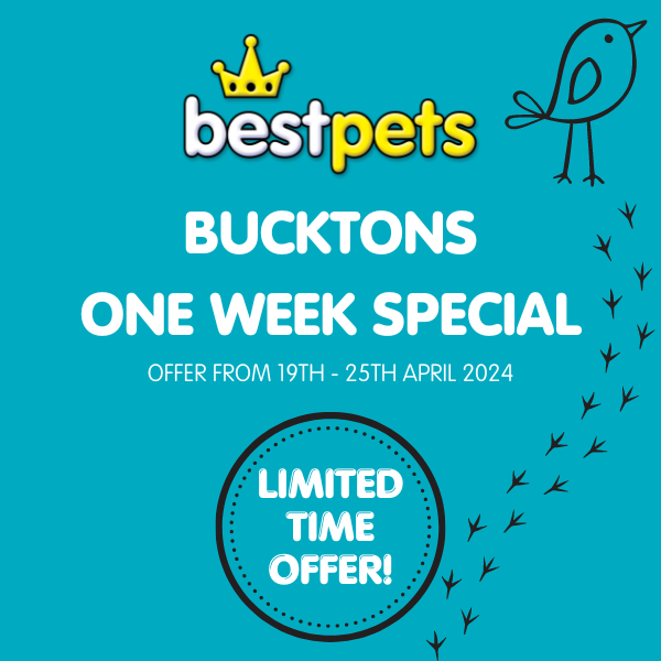 NEW! Bucktons One Week Special