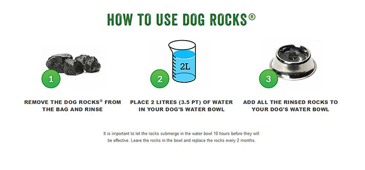 How To Use Dog Rocks