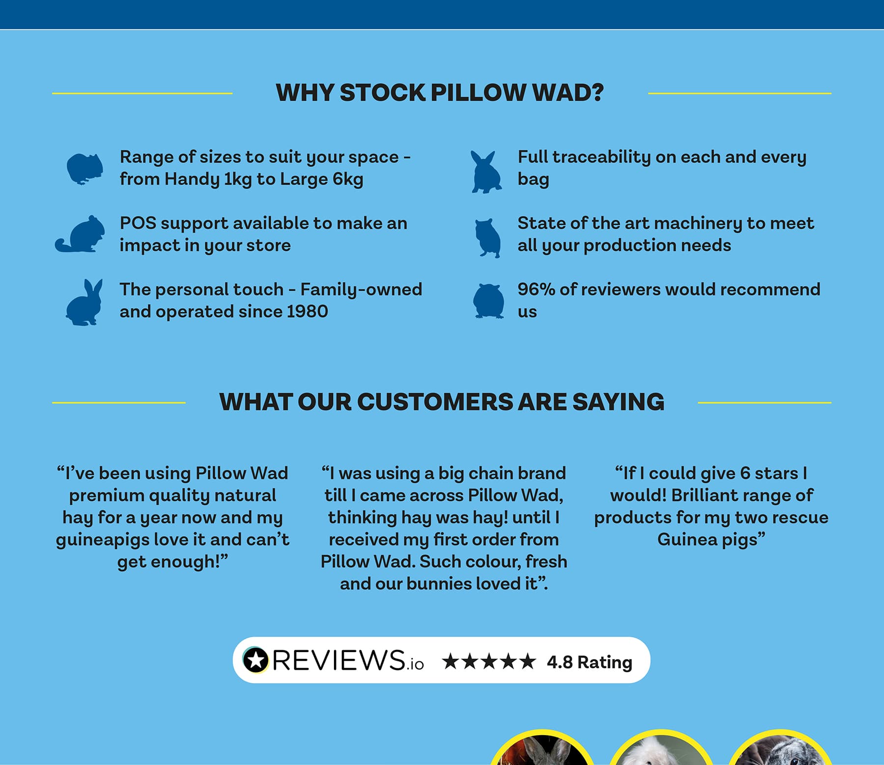 Pillow Wad information