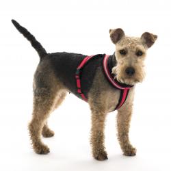 Comfy Harness Red