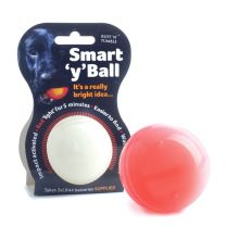 Ruff 'N' Tumble Smart 'Y' Ball LED Glow Ball