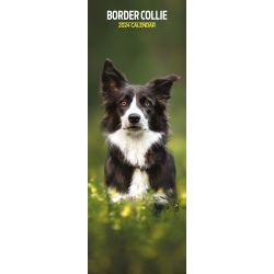 Border Collie Calendar Slim