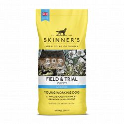 Skinner's Field & Trial Puppy