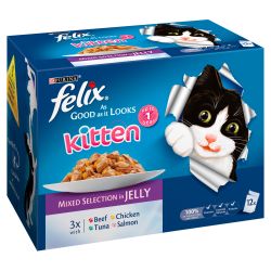 Felix As Good As It Looks Kitten Mixed Selection in Jelly 12 Pack