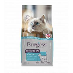 Burgess Cat Neutered