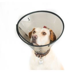 Pet innovations Smart Collar Size 3