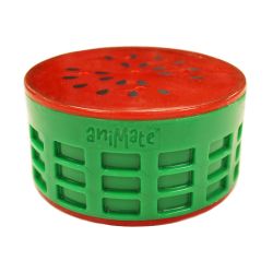 Animal cooling fruit watermelon