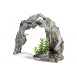 Classic Driftwood Arch
