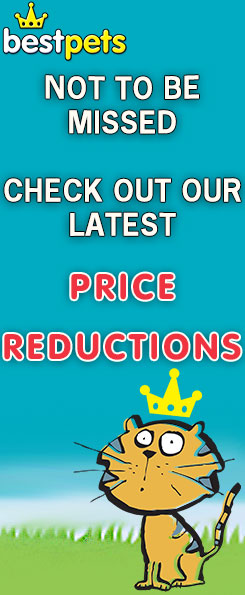 Price Reductions