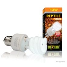Reptile Lighting