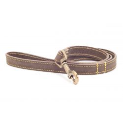 Dog Leads Leather