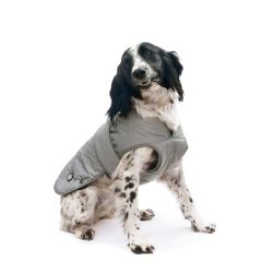 Dog Coats HiViz