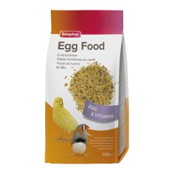 Bird Egg Food