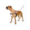 Ancol Pure Dog Listeners Happy at Heel Harness & Lead