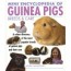 Mini Encyclopedia Guinea Pig