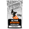 Burns Active Working