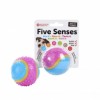 Five Senses Sensory Ball