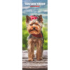 Yorkshire Terrier Calendar Slim