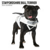 Staffordshire Bull Terrier Calendar