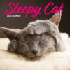 Sleepy Cat Calendar Traditional