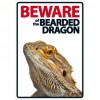 Beware Of The Bearded Dragon