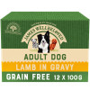 James Wellbeloved Grain Free Adult Lamb in Gravy Pouch 12pk
