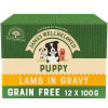 James Wellbeloved Grain Free Puppy Dog Food Pouches Lamb in Gravy 12pk