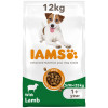 IAMS for Vitality Adult Small & Medium Dog Food with Lamb