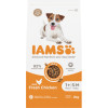 IAMS Advanced Nutrition Dog Small - Medium with fresh chicken 1+ Years