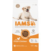 IAMS Advanced Nutrition Dog with fresh chicken large breed 1+ Years