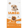 IAMS Advanced Nutrition Puppy Large Breed