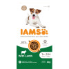 IAMS Advanced Nutrition Dog with Lamb small and medium breed 1+ Years