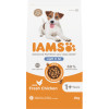 IAMS Advanced Nutrition Dog food Light in fat with fresh chicken 1+ Years