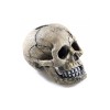 Classic Ornament Spooky Skull