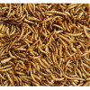 Supa Dried Mealworm