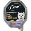 Cesar Garden Terrine Wet Dog Food with Juicy Lamb and Turkey and Green Beans in Loaf 