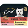  Cesar Classics Wet Dog Food Terrine Mixed Selection 8PK