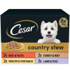Cesar Country Wet Dog Food Stew Special Selection 8PK