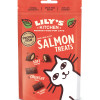 Lily's Kitchen Cat Pillow Treat Salmon