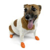 Pawz Dog Boots Orange X Small