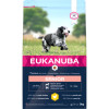 Eukanuba Senior Dog Medium Breed Chicken