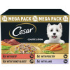 Cesar Country Stew with Chicken & Vegetable in Gravy 24pk