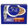 Purina ONE Adult Cat Mini Fillets in Gravy with Chicken & Beef Wet pouch 8pk