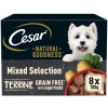 CESAR NATURAL GOODNESS Grain Free Adult Dog Food Mix Terrine 8x100g Tray