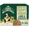 James Wellbeloved Grain Free Puppy Wet Food Lamb,Chicken Gravy Pouch 12pk