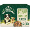 James Wellbeloved Grain Free Puppy Wet Dog Food Turkey Gravy Pouch 12pk