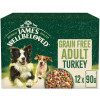 James Wellbeloved Grain Free Adult Wet Dog Food Turkey Gravy Pouch 12pk